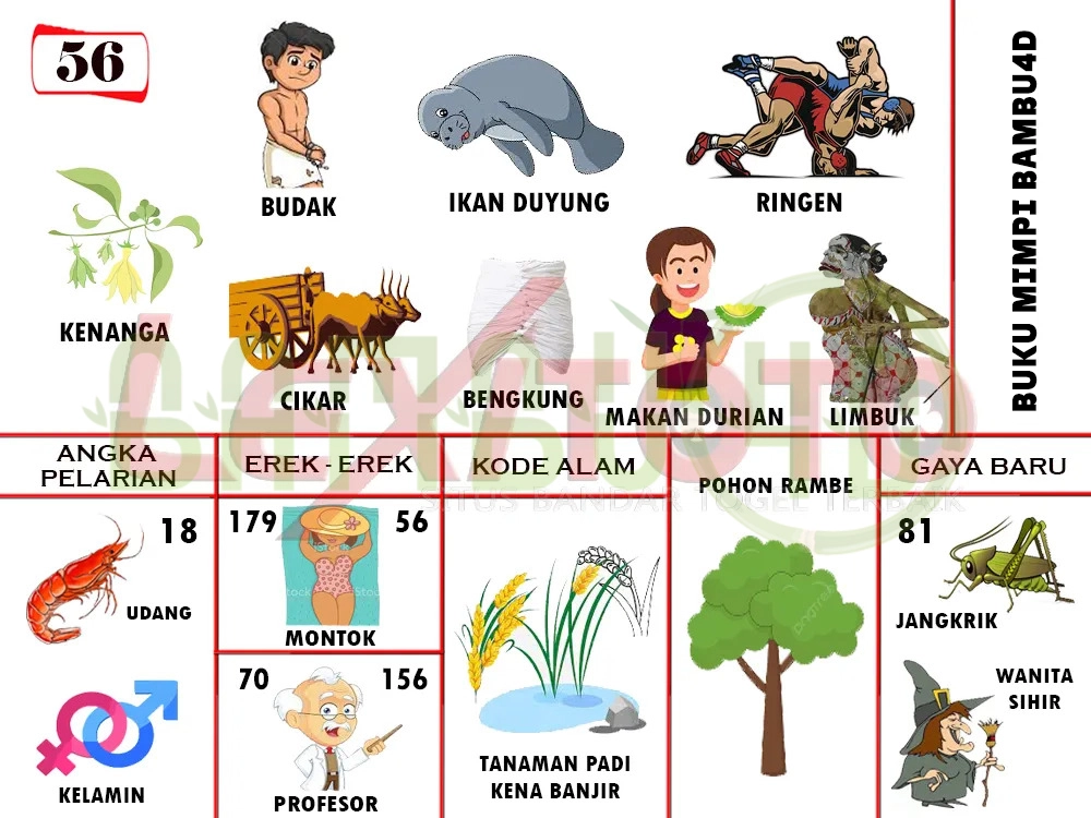 buku mimpi erek erek togel 56